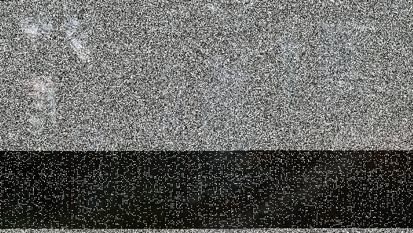 Through the woods