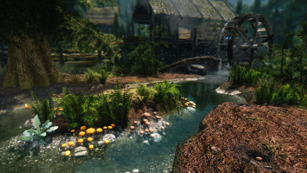 Skyrim