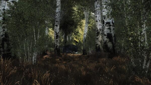 berezki