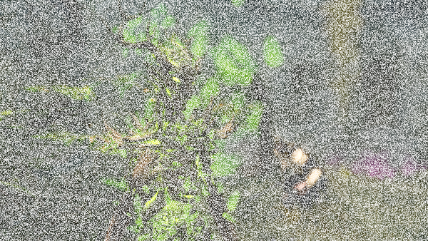 Skyrim