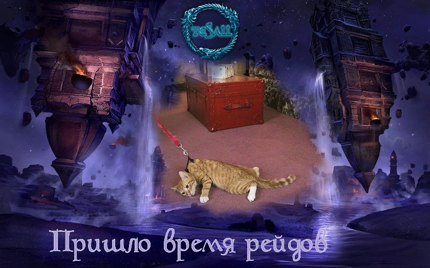 время рейдов.jpg