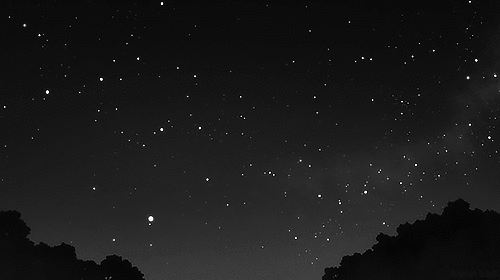 5024cf98a0005c68e1fd7a146a87f461.gif
