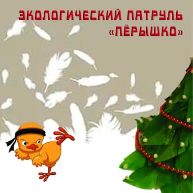 Пёрышко.jpg