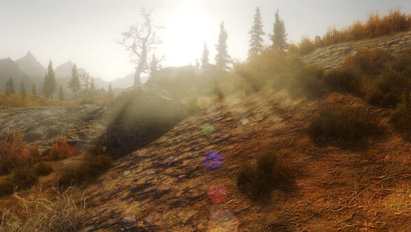 Skyrim days