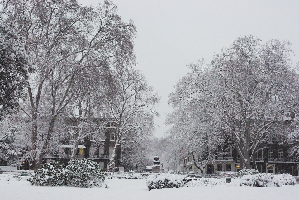 snow-672269_960_720.jpg