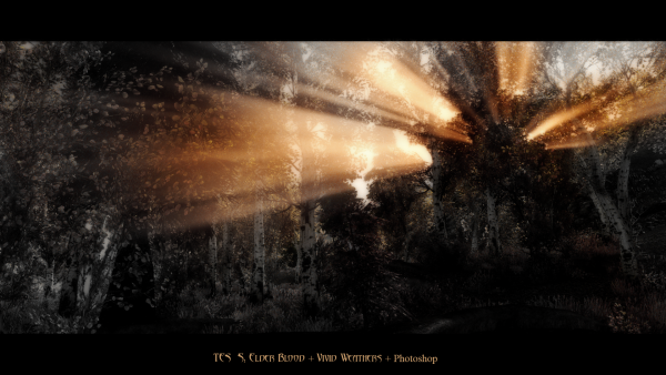 TES 5: Landscape (Screen-Art)