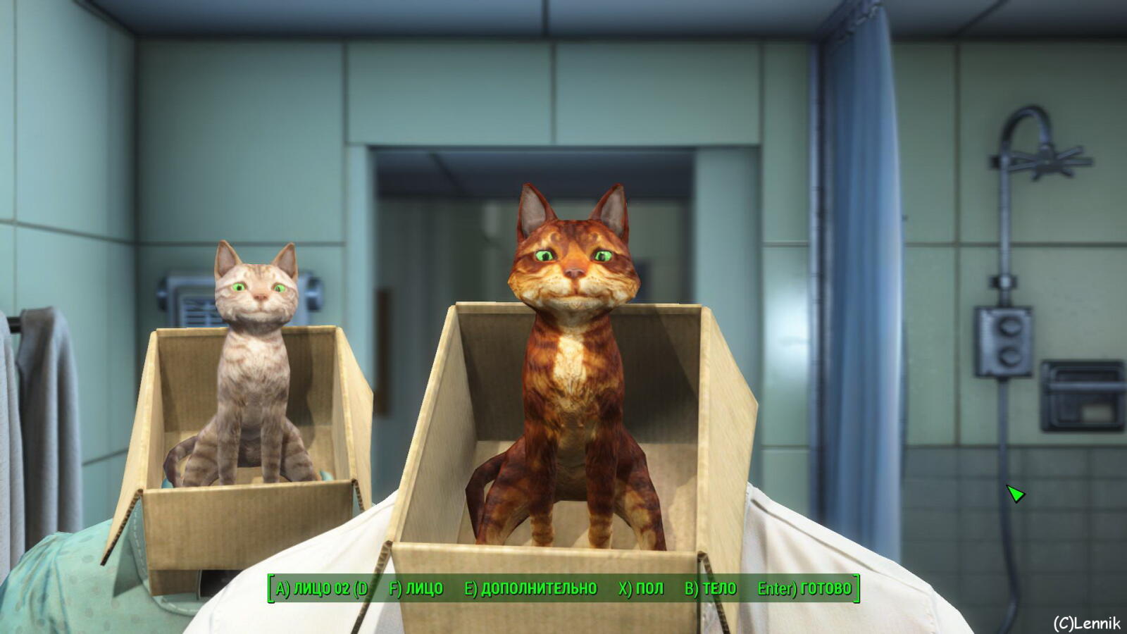 My Fallout