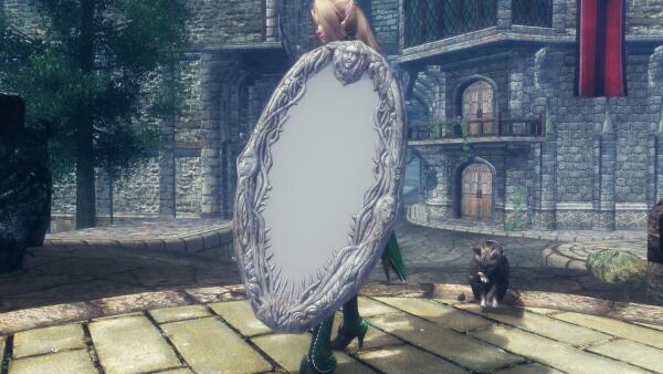 mirror shield