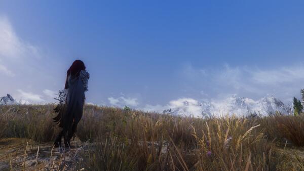 The view