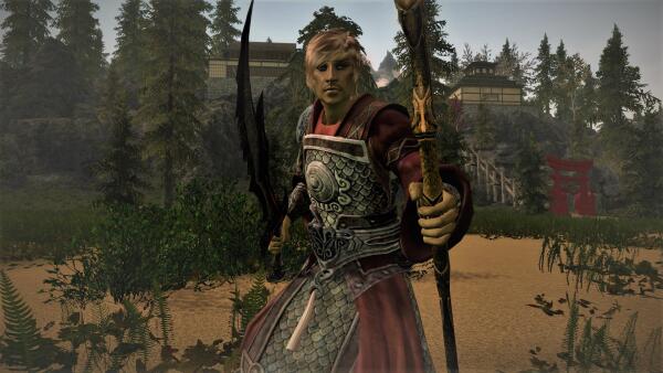 Skyrim Win 10