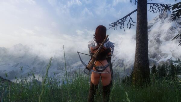 The view
