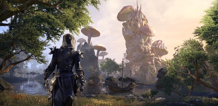 vvardenfell1.jpg