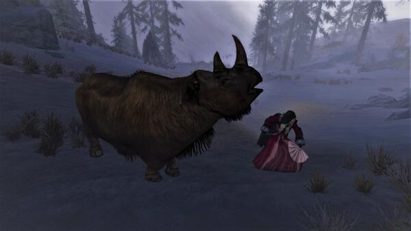 Skyrim