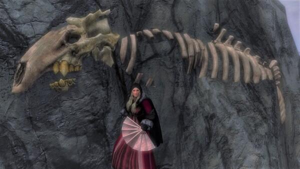 Skyrim