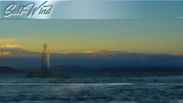 SaltWind