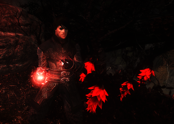 Skyrim