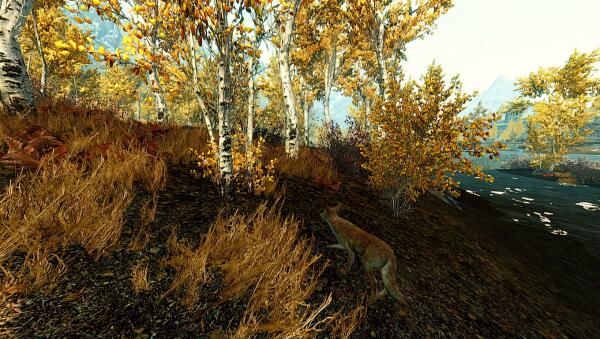 Skyrim
