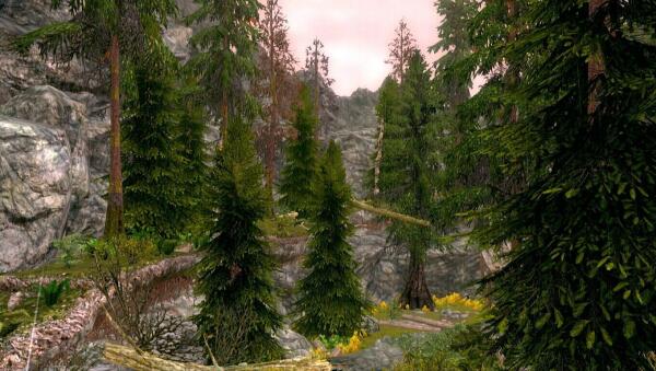 Skyrim