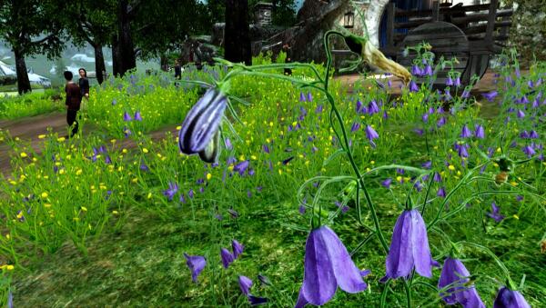 Skyrim