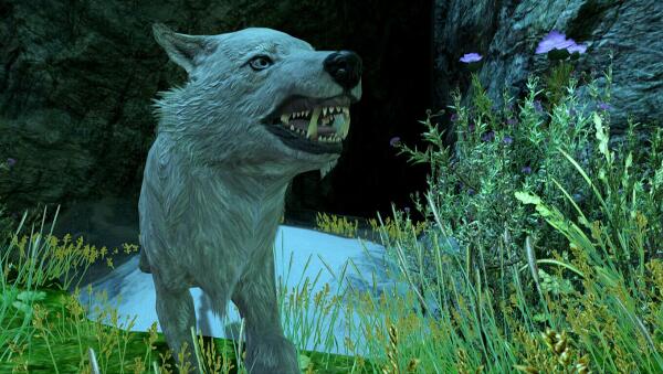 Skyrim