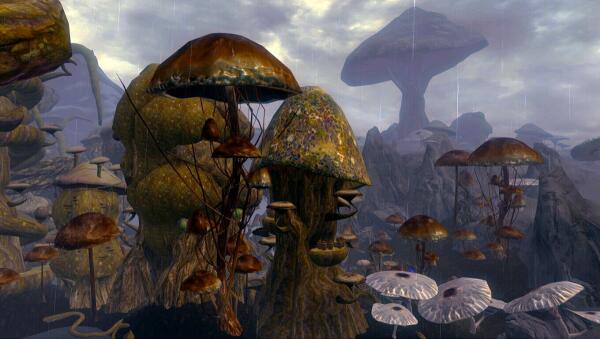 Skyrim