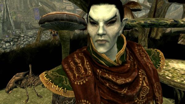 Skyrim