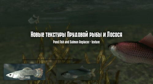 Подробнее о "Новые текстуры Прудовой рыбы и Лосося"