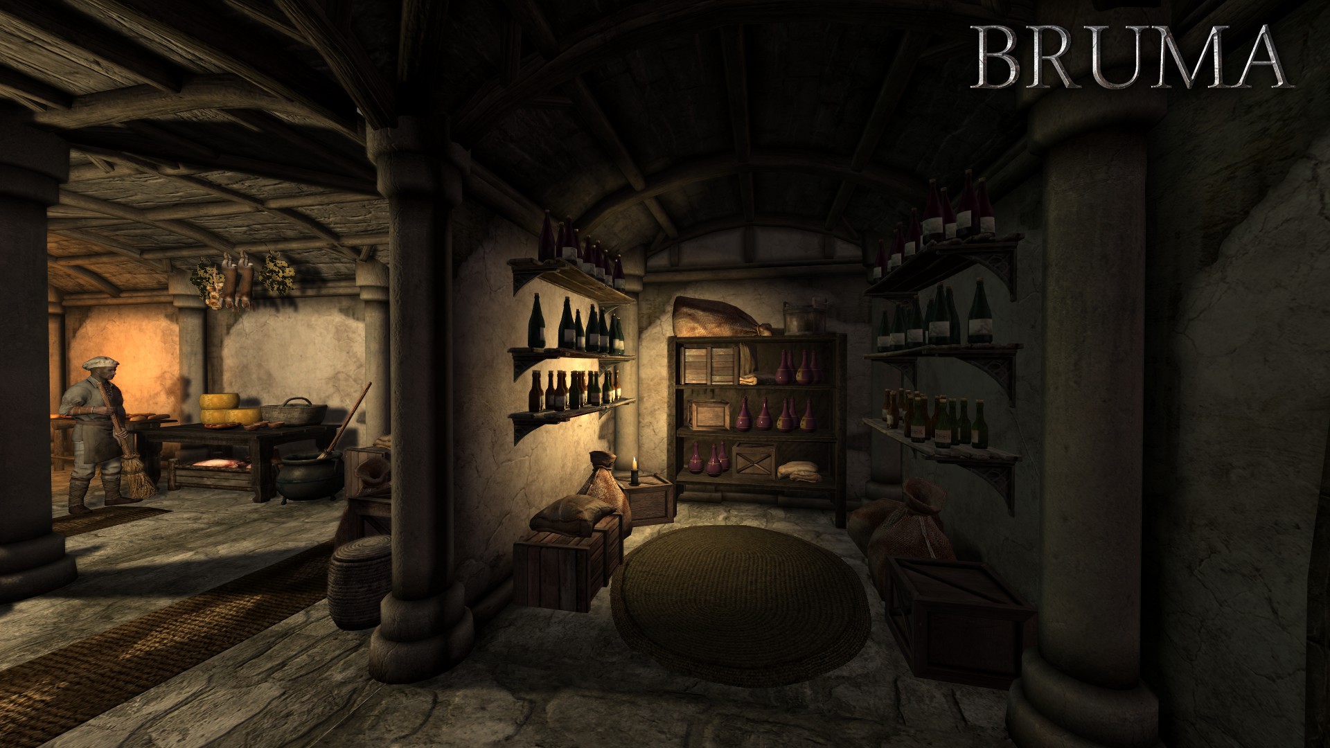 Beyond Skyrim - Bruma