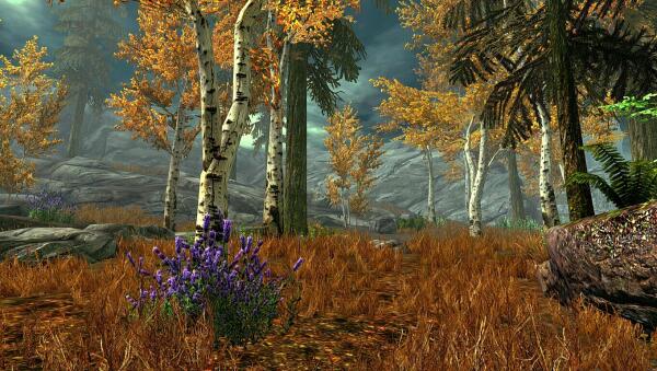 Skyrim