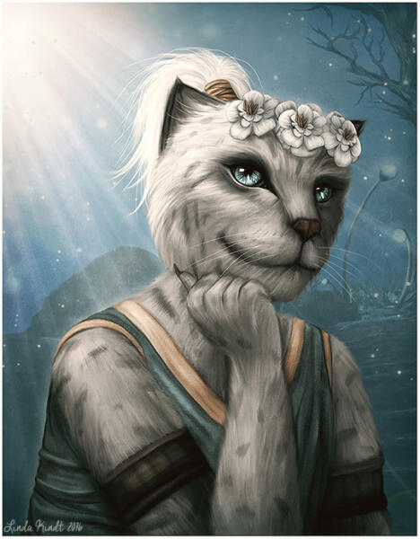 Daro'dra