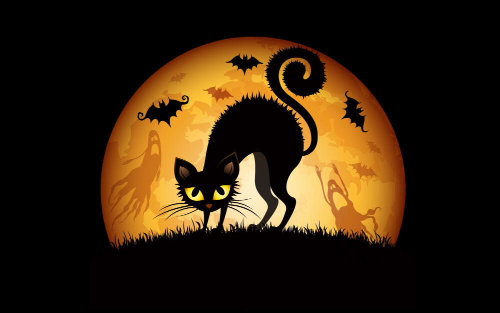 Halloween-Cat-63742048.jpg