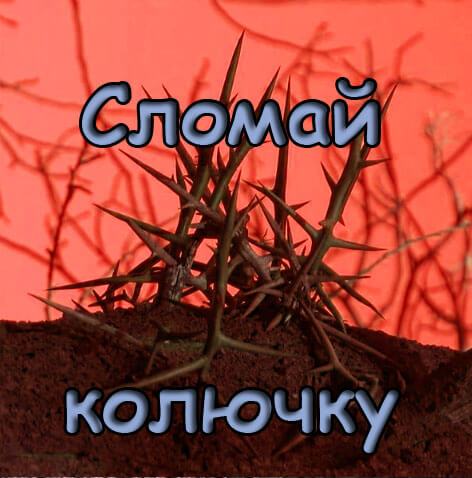 Сломай колючку.jpg
