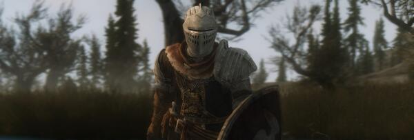 Elite Knight