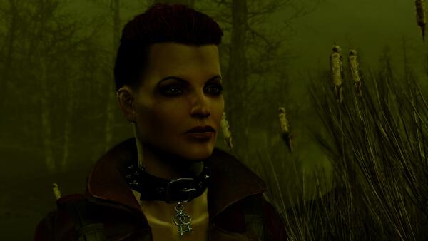 Fallout4