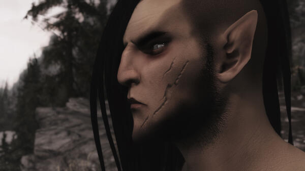 Skyrim