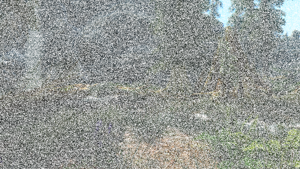 Sparrow ENB 318 Test