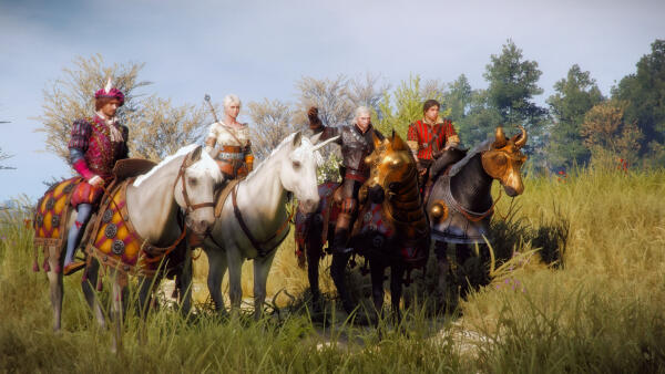 The Witcher