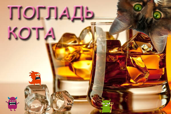 погладь кота.jpg