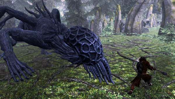 Skyrim