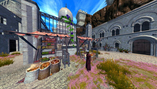 Skyrim
