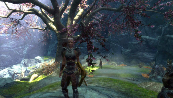 The Elder Scrolls V - Skyrim - Legendary Edition