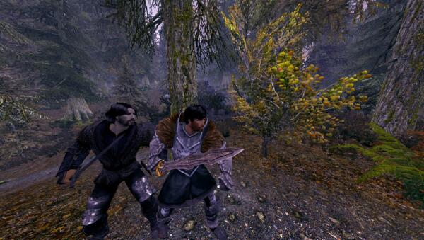 Skyrim