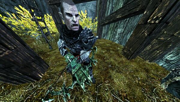 Skyrim