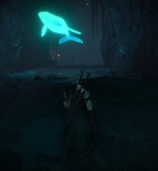 The Witcher 3, находки