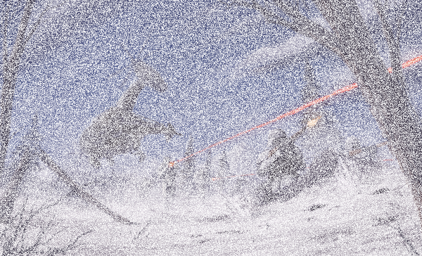 Reinforcements
