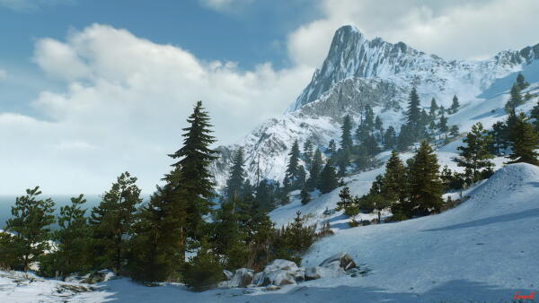 witcher 3