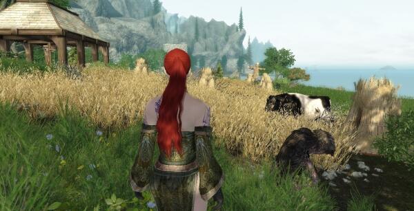 Enderal. Провинция