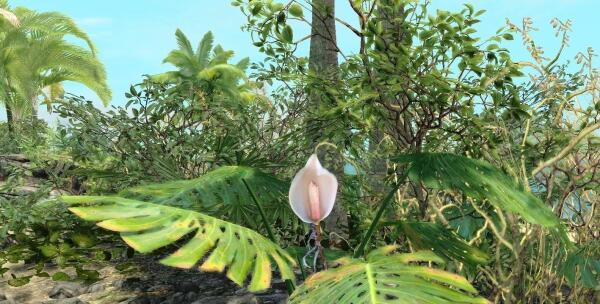 Enderal