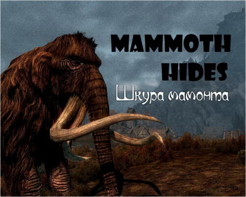 Подробнее о ""