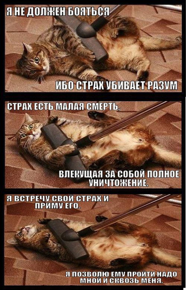 1410795317676.png